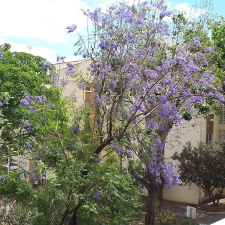 Center Rua Doutor Silvestre Falcao, Lote 4 Pour 6 Personnes *